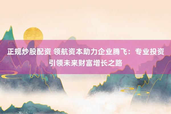 正规炒股配资 领航资本助力企业腾飞：专业投资引领未来财富增长之路