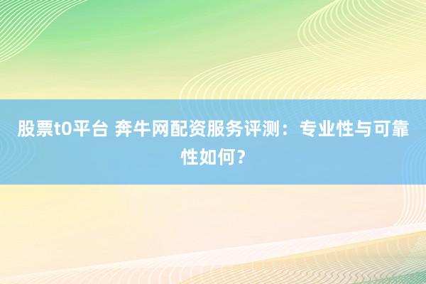 股票t0平台 奔牛网配资服务评测：专业性与可靠性如何？