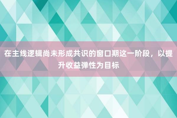 在主线逻辑尚未形成共识的窗口期这一阶段，以提升收益弹性为目标