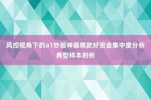 风控视角下的a1炒股神器哪款好资金集中度分析典型样本剖析